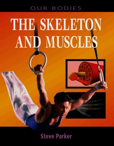 The skeleton and muscles / Steve Parker.