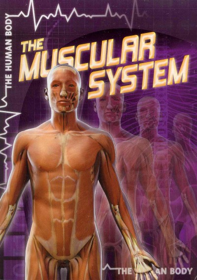 The muscular system / by Greg Roza.