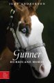 Gunner : hurricane horse  Cover Image